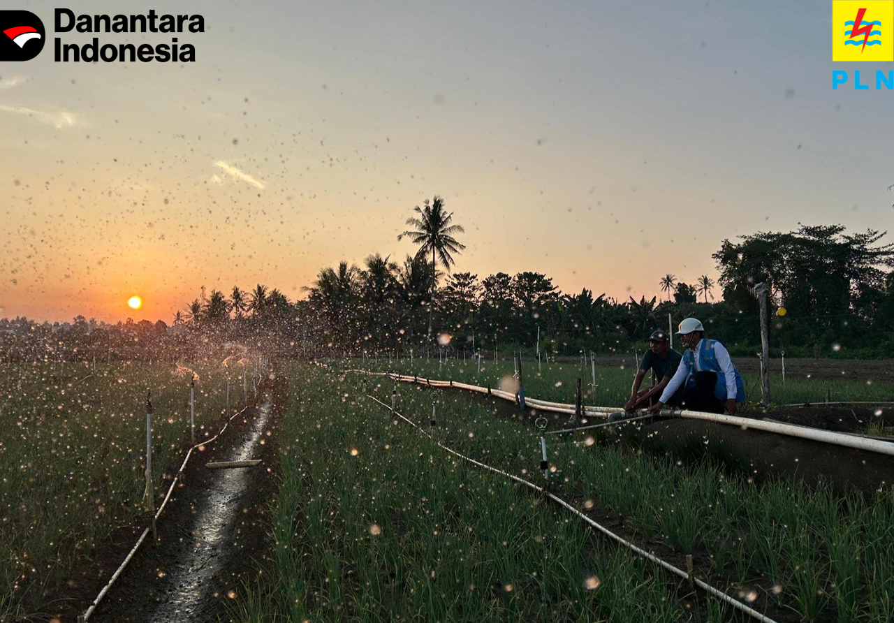 Tarif Listrik Triwulan III 2026 Tetap, PLN Siap Jalankan Kebijakan Pemerintah dan Jaga Kualitas Layanan ke Masyarakat